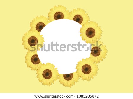 Beautiful sunflower on yellow background. Yellow flower frame with copy space. Sunflower pattern