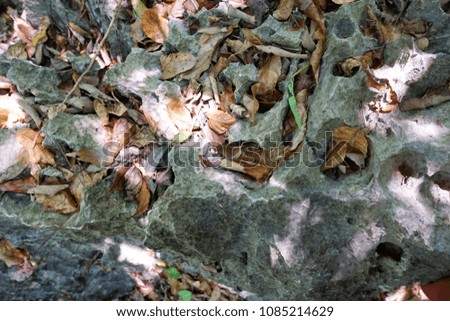 stone texture, Old cracked stone wall background, Rock, concrete background. Empty concept.