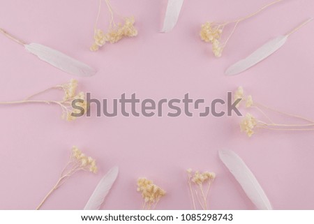 White dried flowers with white feather on pastel pink background with copy space