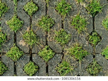 Ground with grass