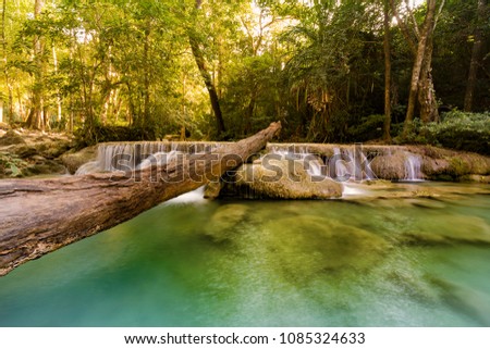Tropical stream waterfall in deep forest jungle, natural landscape background