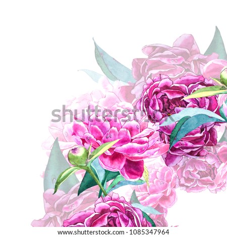 Vintage peony template. Watercolor illustration. Design elements for cards, invitations and textile. Isolated on white.