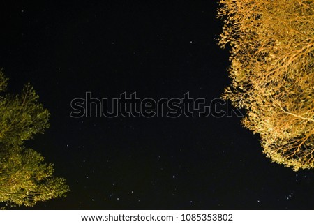 Night sky over tree. Beautiful night starry sky high ISO landscape.