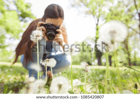 Female amateur photographer taking photo of dandelion with retro old camera in summer park at beautiful sunny day