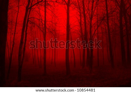 Deep Red Woods