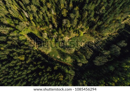 Aerial view on forest and country side area , green fields and trees in sunny spring day from above