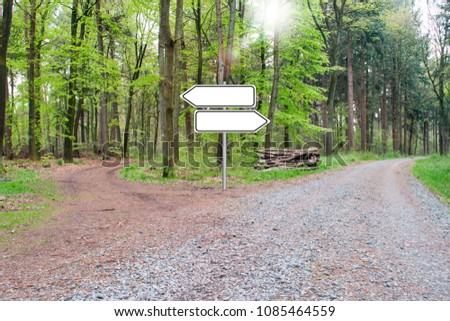 Bifurcation of a footpath in the wood - Choose your way. Empty Sign.