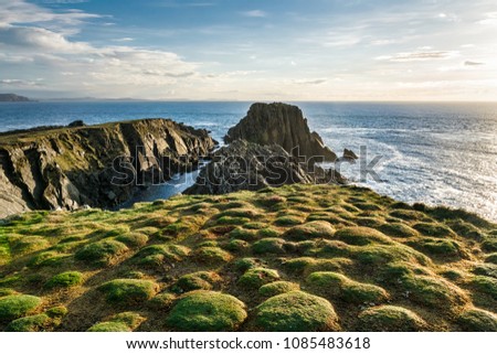 This is a picture of the sea cliffs at Malin Head Ireland. In the forground is strange plantformations on the top of the cliff.