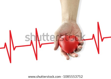 Hand holding Red Heart on Heart pulse graphic curve  background,Heart Rate infographic diagram from electrocardiogram chart.Health,Medicine, People and Cardiology concept.Love,Valentine's Day.