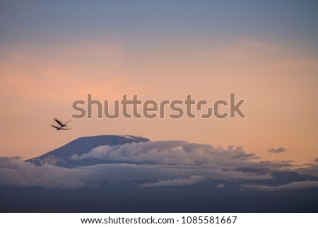 Birds over the Mount Kilimanjaro 
Crowned Cranes flying over the Mt. Kilimanjaro at Sunset.
Rising beyond the Boundaries 