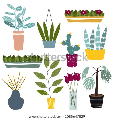 Set of cartoon green house plants in pots. Vector hand drawn illustration.