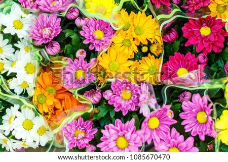 colorful flowers  in bouquets, top view