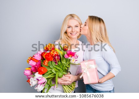 Lovely girl kissing in cheek her mom prepare gift case in pink package with white bow, holding big bouquet of colorful tulips in hands enjoying  rest relax leisure isolated on grey background