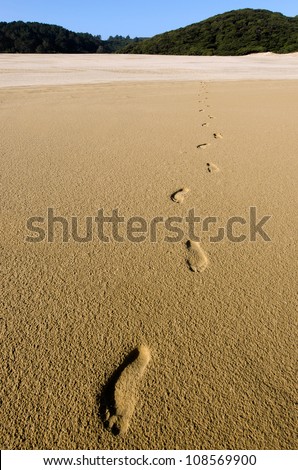 Foot prints on Te Paki Sand Dunes northland, New Zealand. concept photo of travel, vacation and freedom 