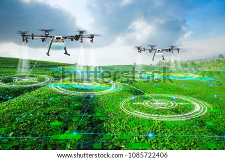 Agriculture drone scanning area to sprayed fertilizer on green tea fields, Technology smart farm 4.0 concept Royalty-Free Stock Photo #1085722406