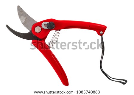 Red pruning shears, garden secateurs or hand pruners are garden tools used in gardening for cutting tree branches and landscaping gardens, isolated on white background with a clipping path cutout Royalty-Free Stock Photo #1085740883