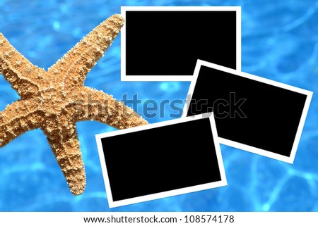 starfish over water blank space for photos