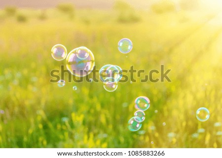 Abstract, blurry soap bubbles in the field at sunset background. Design Elements