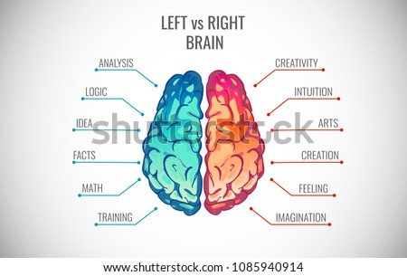 Left and right human brain concept. Creative part and logic part with social and business infographics vector illustration Royalty-Free Stock Photo #1085940914