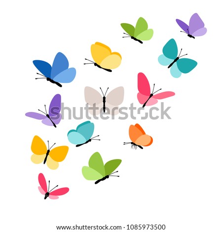 Butterflies in flight. Colorful tropical butterfly decorative elements on white for design, vector illustration