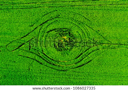 all-seeing eye, a symbol on a green field, background