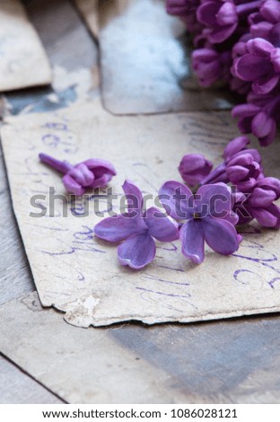 Lilac flowers and retro photo