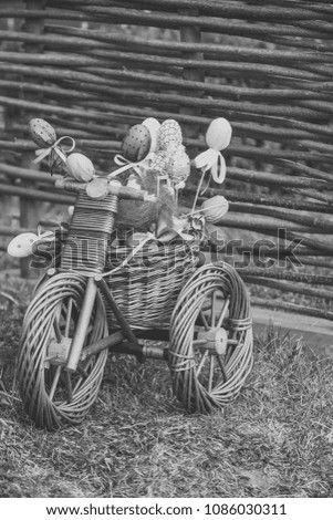 Easter decoration concept. Small bicycle with easter eggs. Wicker tricycle with basket on grass. Happy easter celebration. Spring, season, festival.