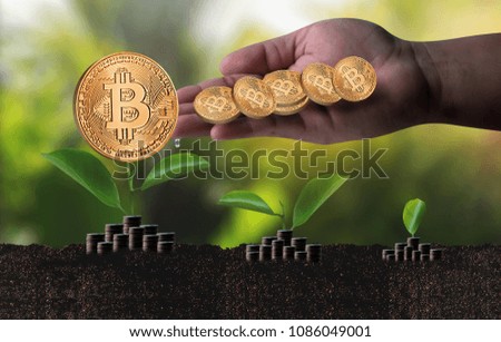 Financial golden Bitcoins ladder growth concept Crypto currency Bitcoins blockchain technology