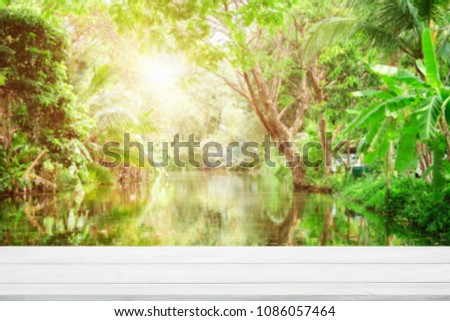 Empty wooden desk of free space and spring time with Morning sun light with wind blowing leaves in the lake park,Template mock up for display montages of product.
