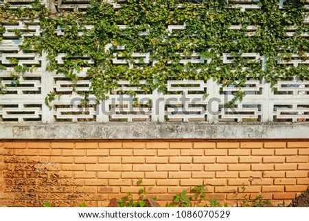 Decorative garden on a brick floor