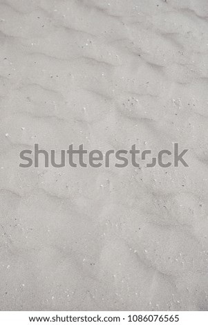 sand beach detail