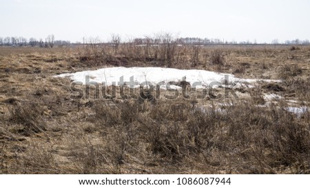 an island of snow on the field