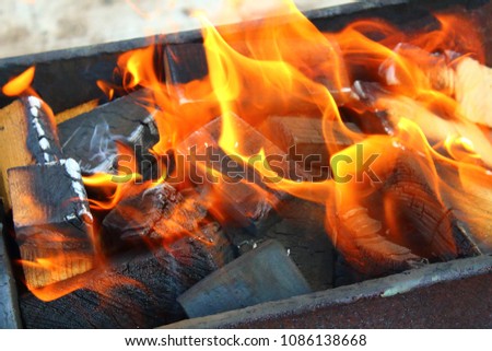 Firewood burning in the grill. A beautiful flame in motion. Background. Close-up. Spring, May, 2018.