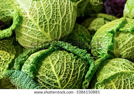 cabbage savoy kale green openwork green leaves many round fruits close-up vegetable base Royalty-Free Stock Photo #1086150881