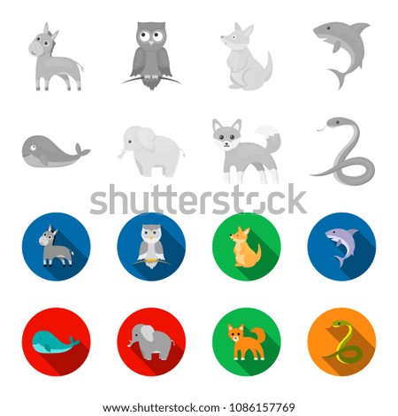 Whale, elephant,snake, fox.Animal set collection icons in monochrome,flat style vector symbol stock illustration web.