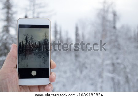 Traveler makes pictures winter forest with smartphone