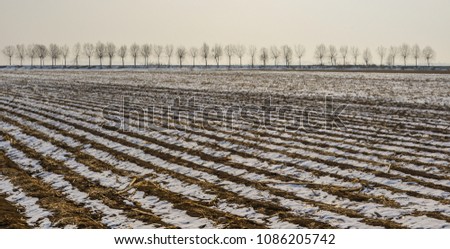 Empty field with snow at winter in Heilongjiang, China.