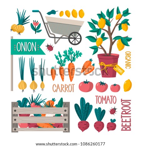 Vector garden set. Excellent for the design of postcards, posters, stickers and so on.