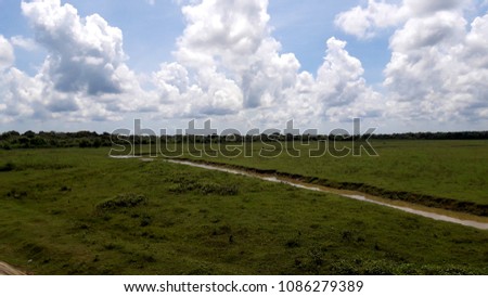 Grass land in Sri Lankan dry zone.