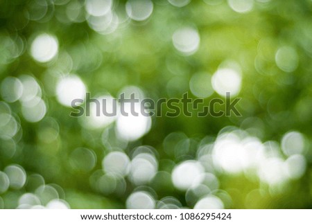 Green Bokeh Background, Green Trees Bokeh, Abstract Summer spring Sunny Texture