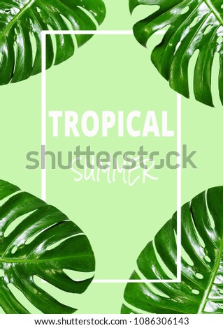 Photo creative tropical green leaf simmer frame