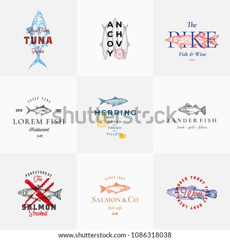 Premium Quality Retro Fish Vector Signs or Logo Templates Set. Hand Drawn Vintage Fish Sketches with Classy Typography, Tuna, Trout, Salmon, Herring etc. Great Restaurant and Seafood Emblems. Isolated
