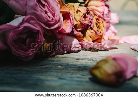 Pink roses withered and note put on old wooden table.