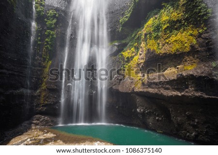 Waterfall close up in the natural in deep forest