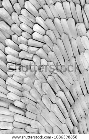 Closeup of bird feathers etched on a grey metal surface. Metal sheet plate feathers background.