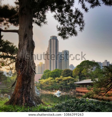 Hong Kong City Scape from Nan Lian Garden