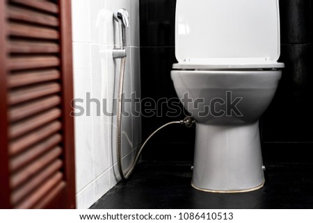 White toilet bowl in a bathroom of a private home