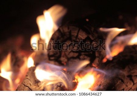 bone fire close up - macro photography of a burning wood with yellow, orange and red flames, outside during a summer night in Poland, Europe 