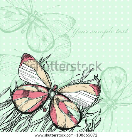 vector illustration of a colorful butterfly in a vintage style