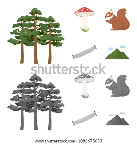 Pine, poisonous mushroom, tree, squirrel, saw.Forest set collection icons in cartoon,monochrome style vector symbol stock illustration web.